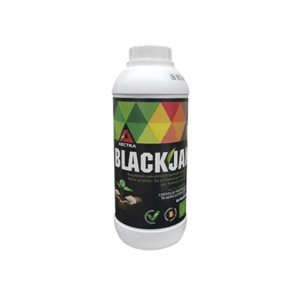 Blackjak
