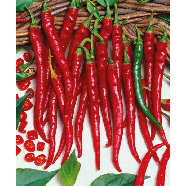 Seminte Ardei iute Pintea