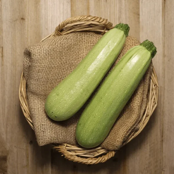 Seminte Dovlecei WHITE BUSH