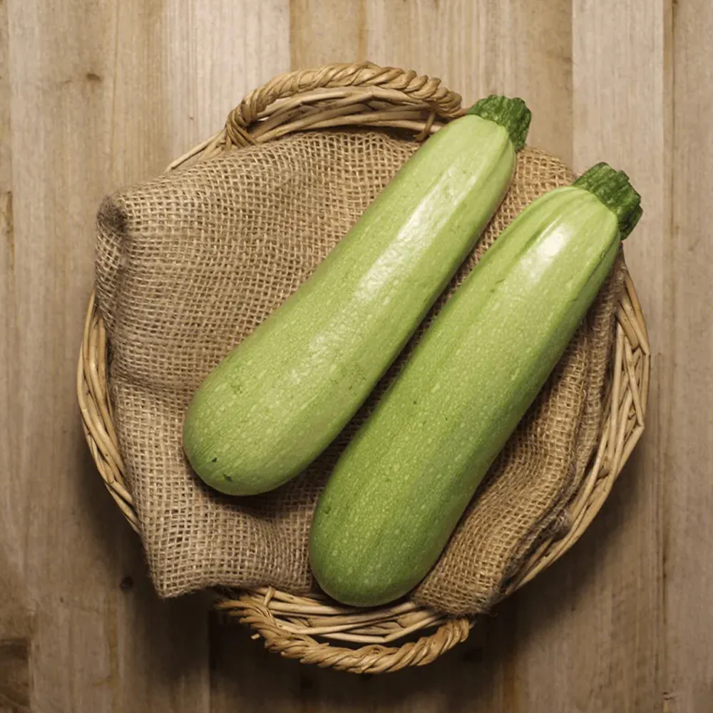 seminte-dovlecel-long-white-bush_1280x Seminte Dovlecei WHITE BUSH - imagine 1