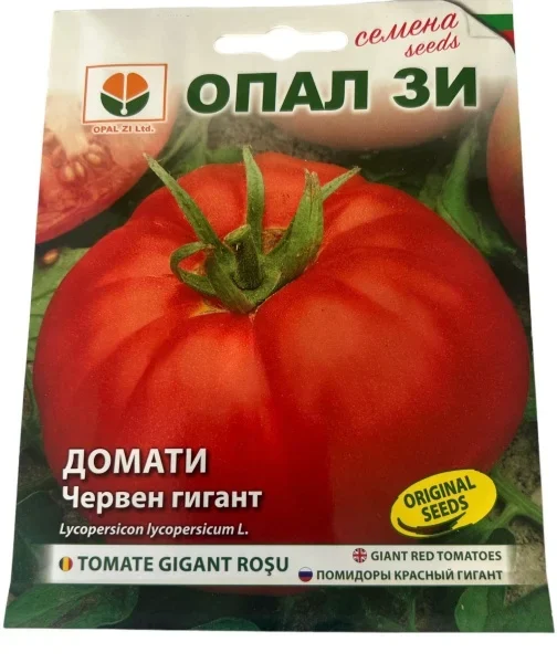 Seminte de Rosii Gigant Rosu