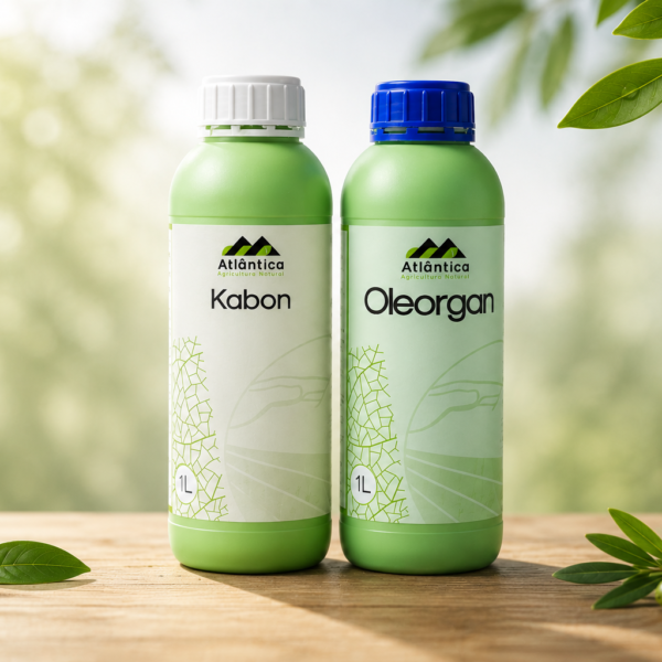 Kabon + Oleorgan