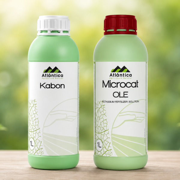 Kabon + Microcat OLE